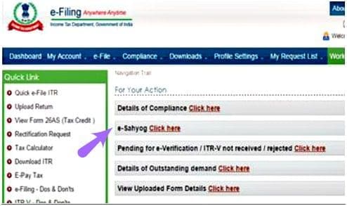 income tax efiling website e-sahyog link pic