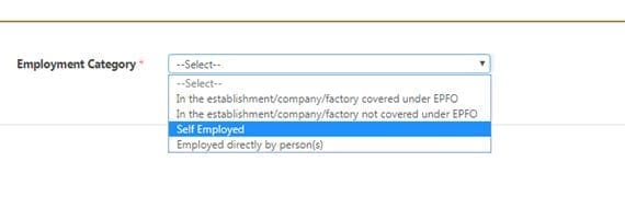 UAN allotment employment category