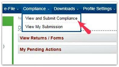 Compliance Tab Efiling Account pics
